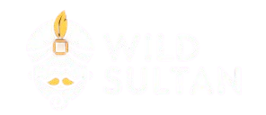 wild casino 300x300